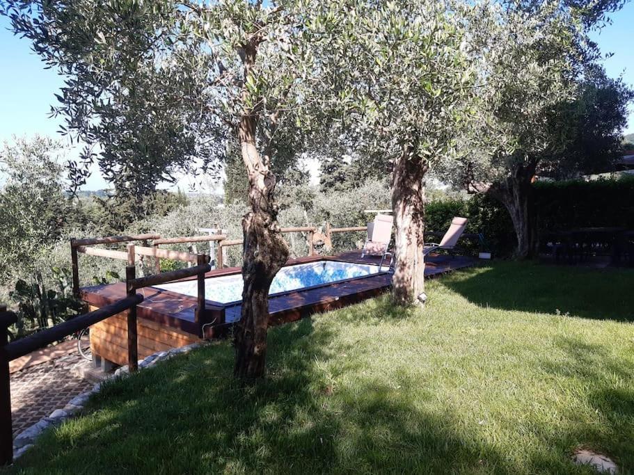 Villa Villacolle Massarosa Kültér fotó