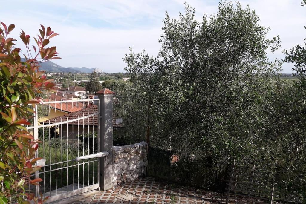 Villa Villacolle Massarosa Kültér fotó