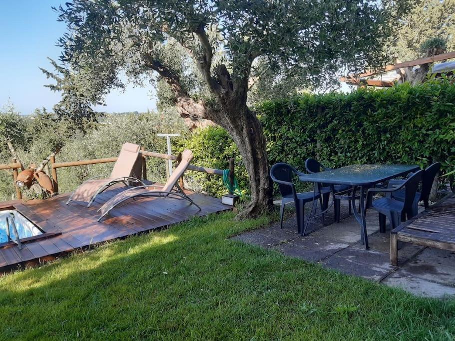 Villa Villacolle Massarosa Kültér fotó