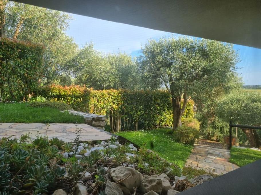 Villa Villacolle Massarosa Kültér fotó